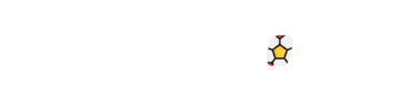 11 pro max cũ